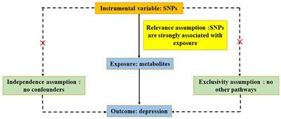 Circulating metabolites and depression: a bidirectional Mendelian randomization